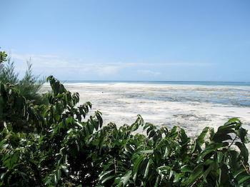 Zanzibar Rock Resort Pongwe Kültér fotó
