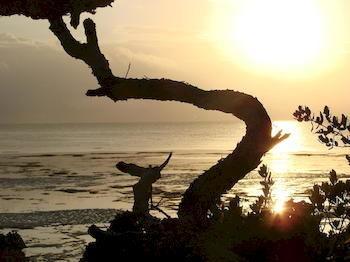 Zanzibar Rock Resort Pongwe Kültér fotó