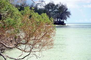 Zanzibar Rock Resort Pongwe Kültér fotó